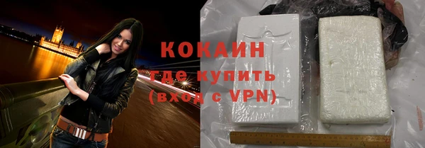 дживик Касимов
