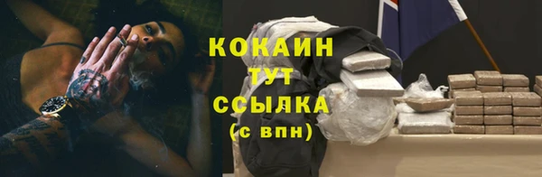 дживик Касимов
