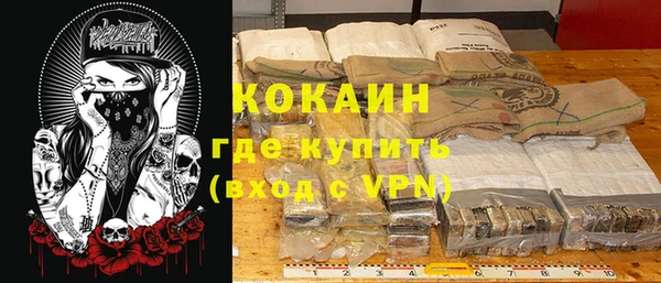 дживик Касимов