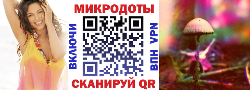 Псилоцибиновые грибы Cubensis  Купить  Ельня 